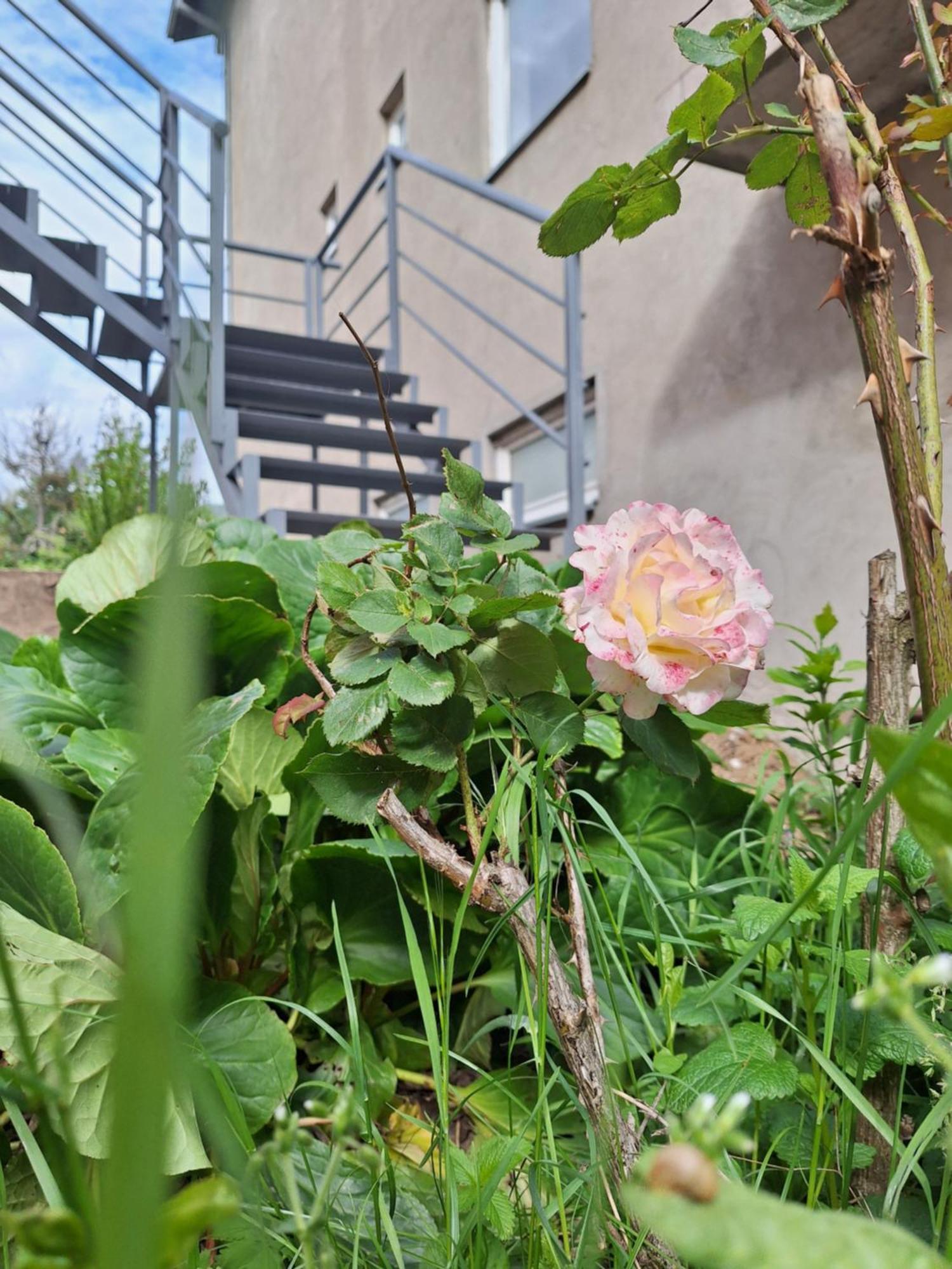 Apartmani Lena Plužine Exteriér fotografie