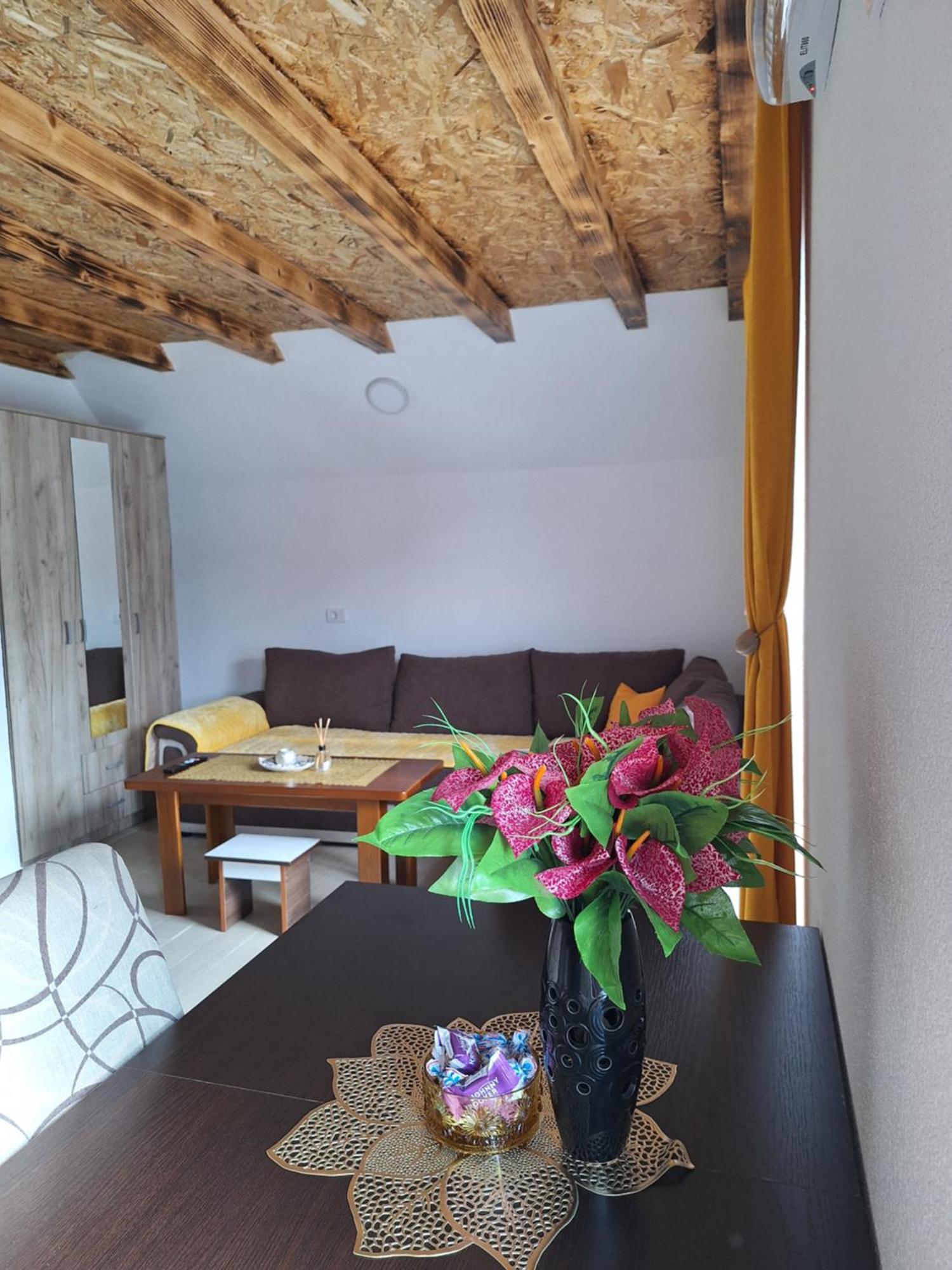 Apartmani Lena Plužine Exteriér fotografie