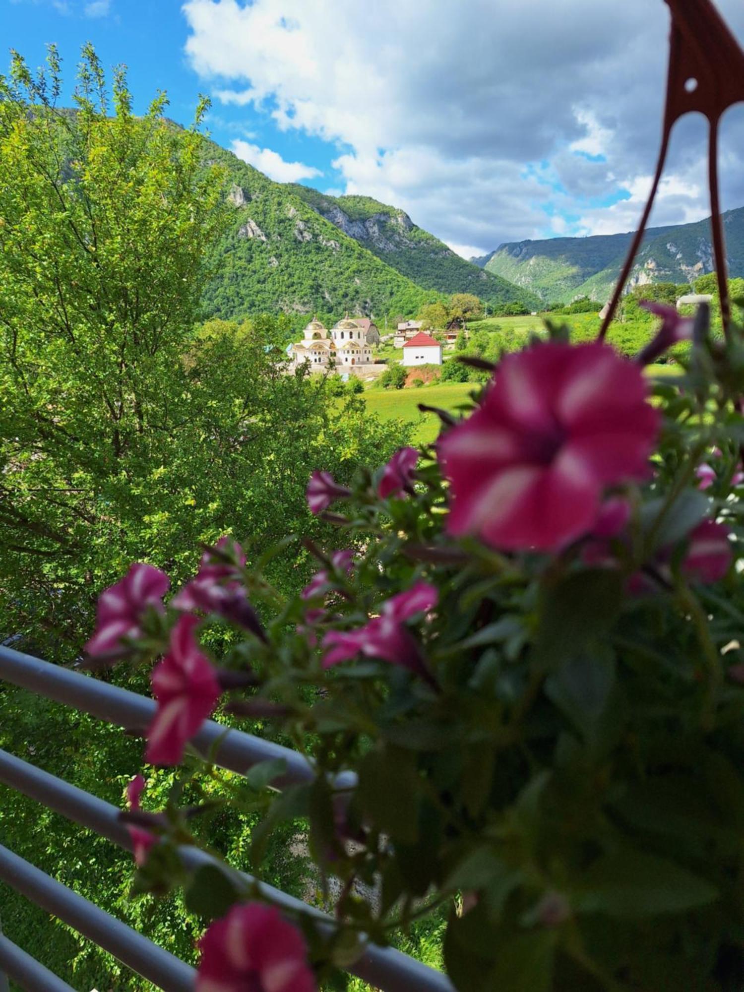 Apartmani Lena Plužine Exteriér fotografie